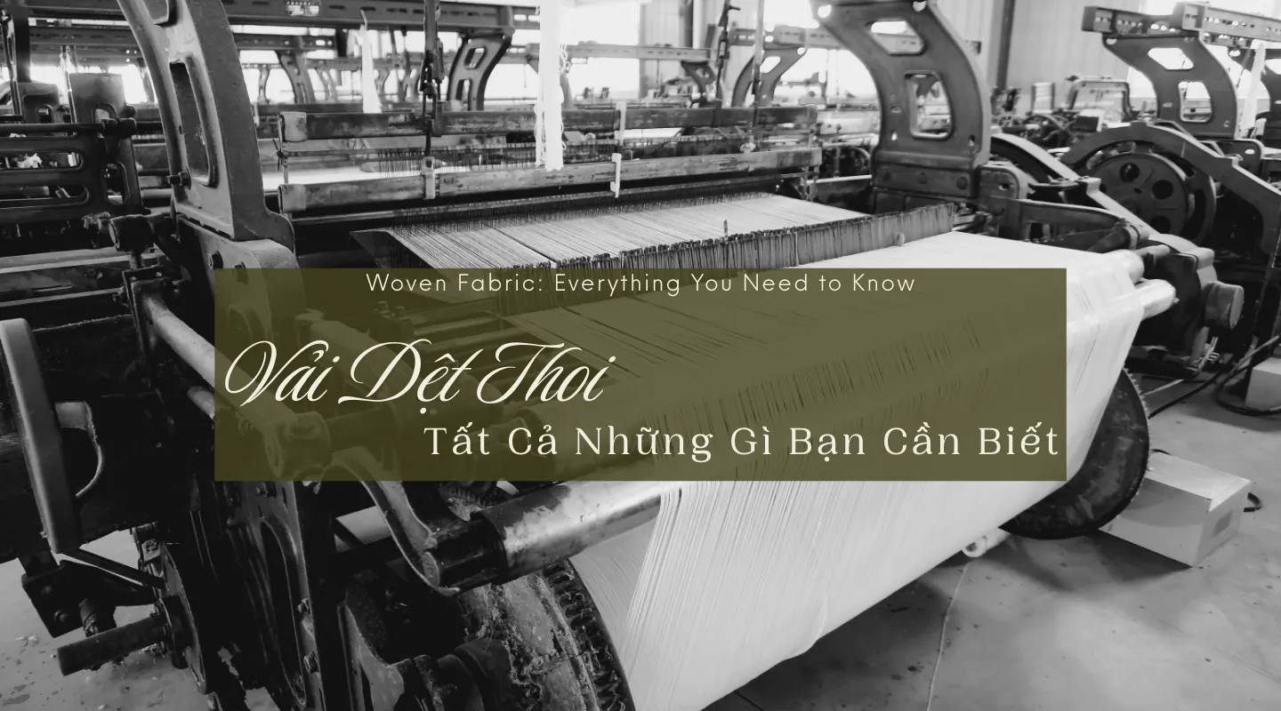 Hình ảnh bài viết